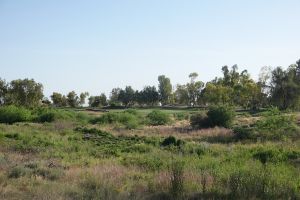 Ak Chin Southern Dunes 3rd